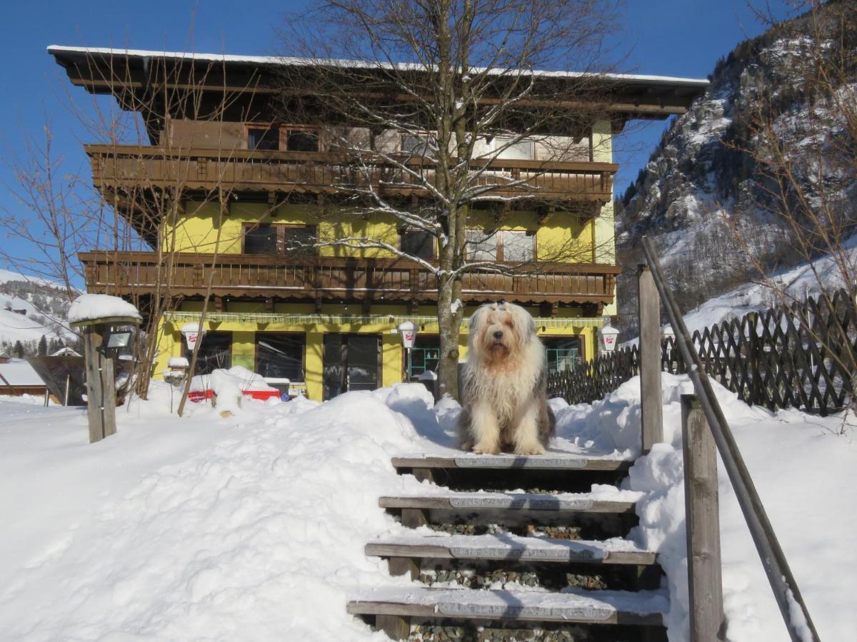 ウッテンドルフAlpenhaus Denverアパートメント エクステリア 写真