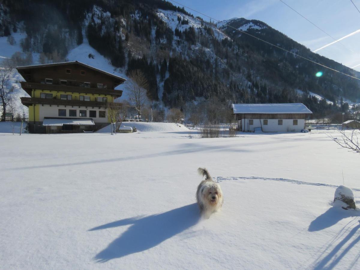 ウッテンドルフAlpenhaus Denverアパートメント エクステリア 写真